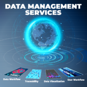 MEEO featuring Serco consortium for the development of Destination Earth Core Service Platform